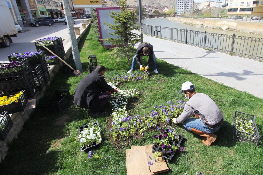 Bayburt Çiçek Açıyor